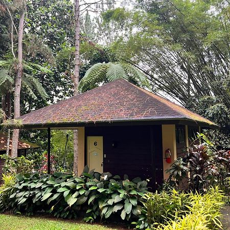 منتجع ونايتشر بارك إيدن Davao City المظهر الخارجي الصورة